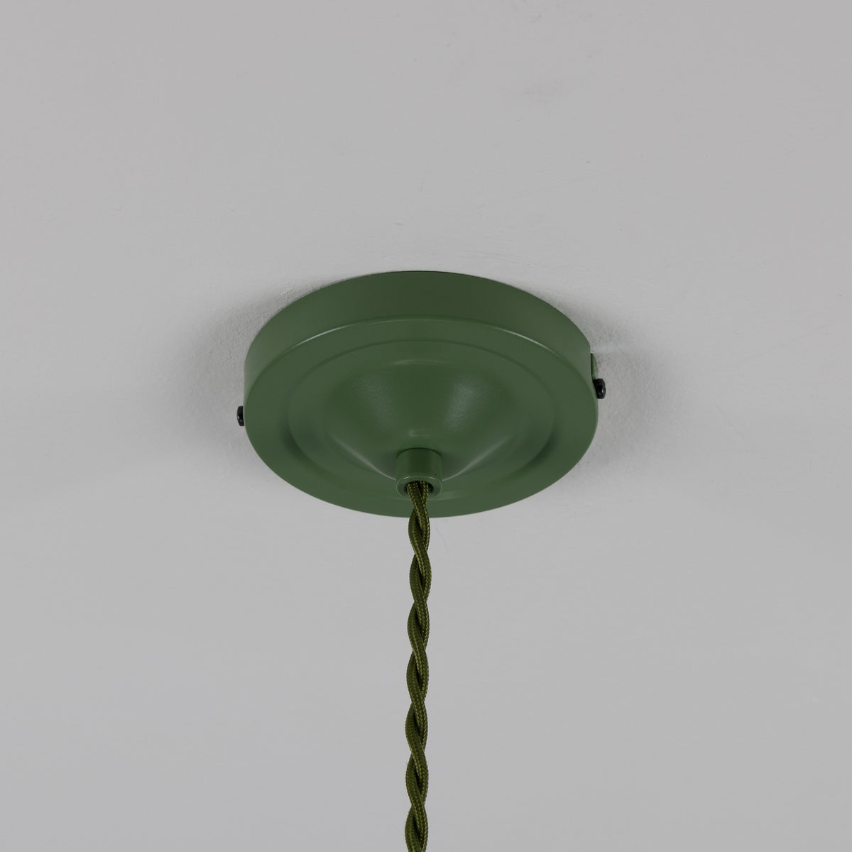 Rio Coloured Brass Pendant Light in Antique Brass and Sage Green