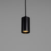 Evanston Single Drop Brass Pendant Spotlight in Matte Black