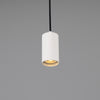 Evanston Single Drop Brass Pendant Spotlight in White