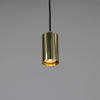 Evanston Single Drop Brass Pendant Spotlight in Polished Brass