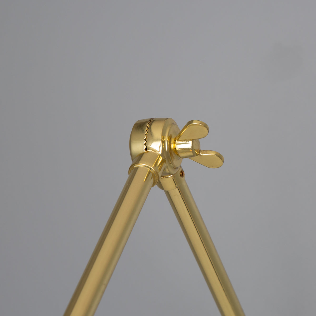 Polished brass wing nut hinge connector on metal lamp arm
