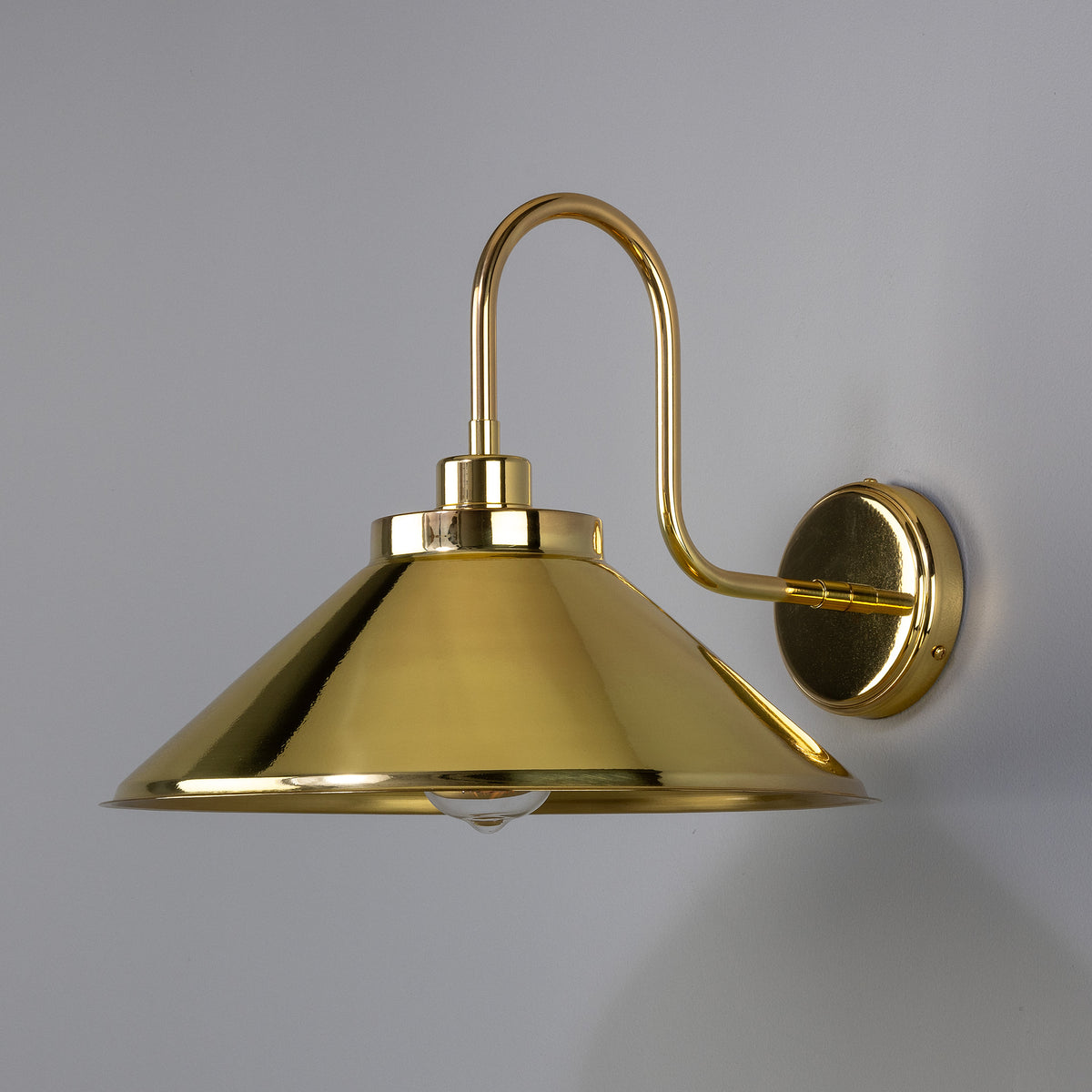 Rio Vintage Brass Swan Neck Wall Light  in Polished Brass
