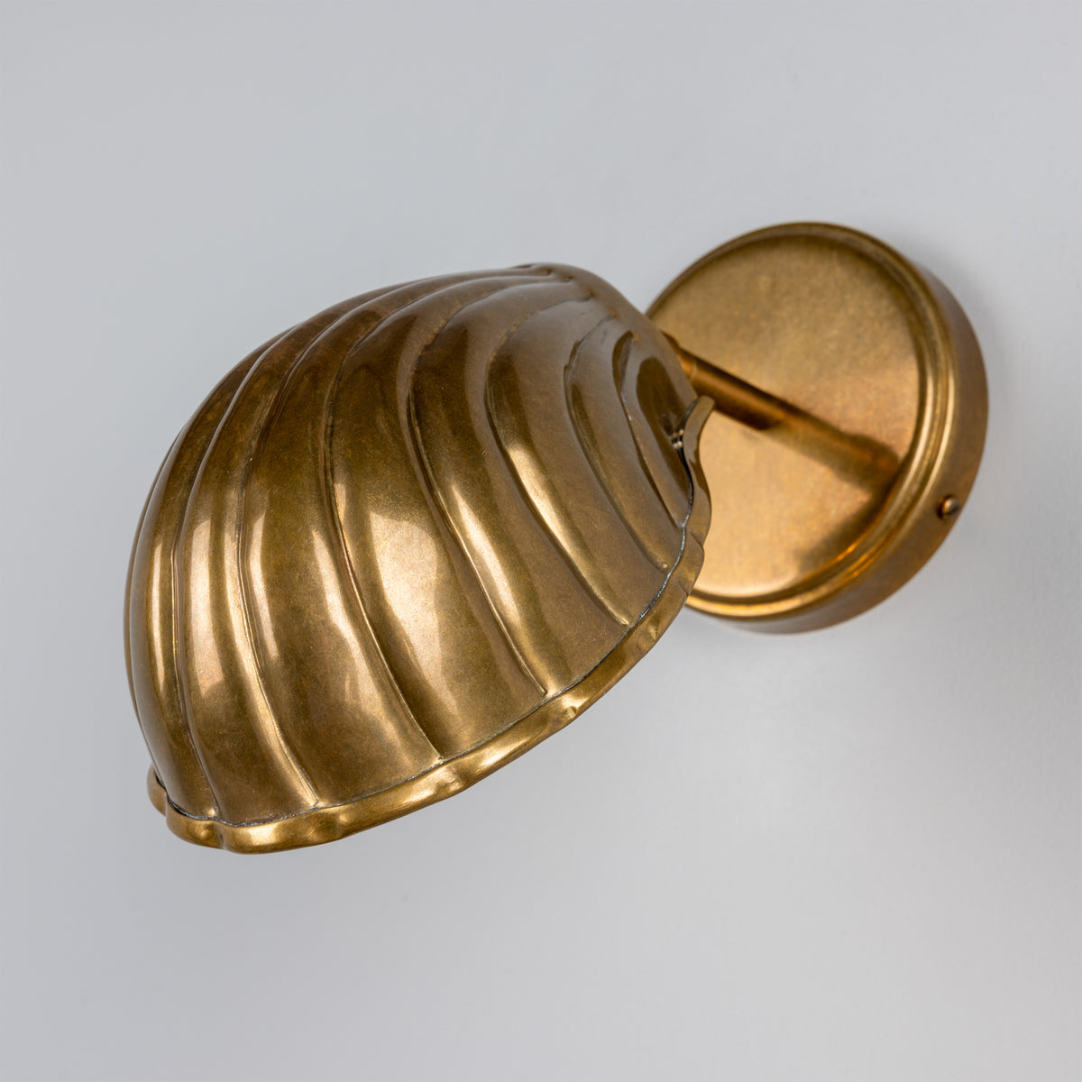 Shell Adjustable Brass Wall Light in Antique Brass