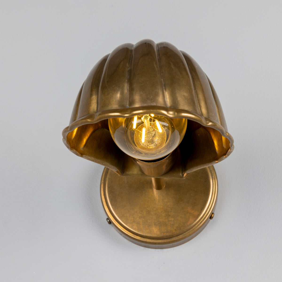 Shell Adjustable Brass Wall Light in Antique Brass