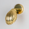 Shell Adjustable Brass Wall Light in Polished Brass