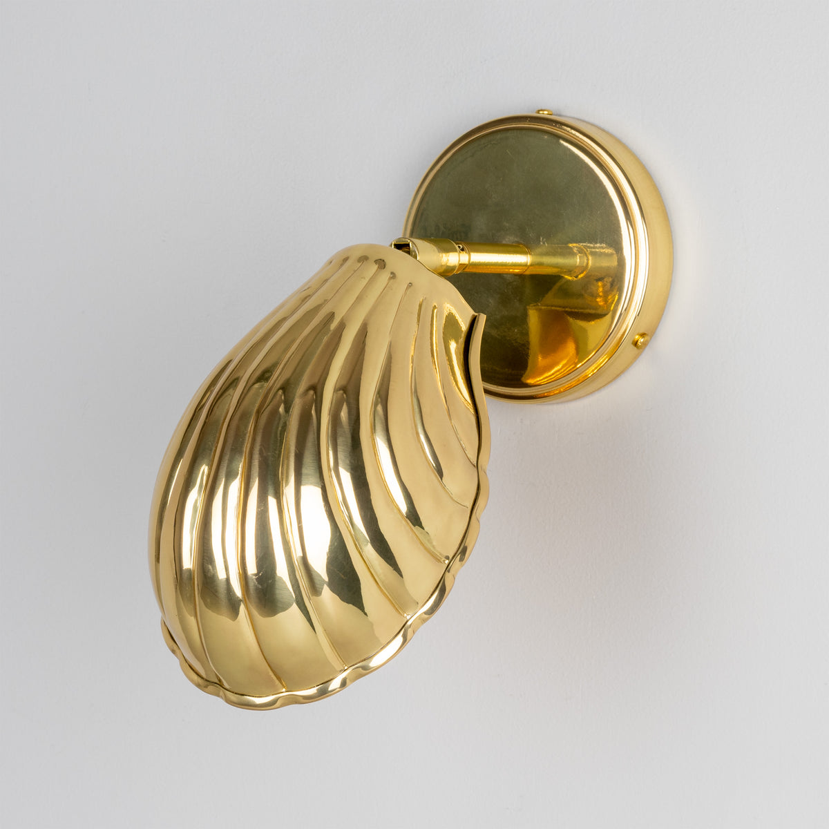 Shell Adjustable Brass Wall Light in Polished Brass