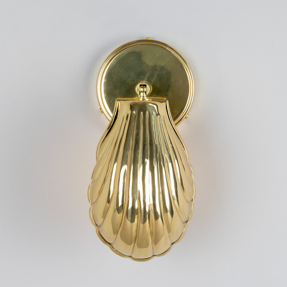 Shell Adjustable Brass Wall Light in Polished Brass