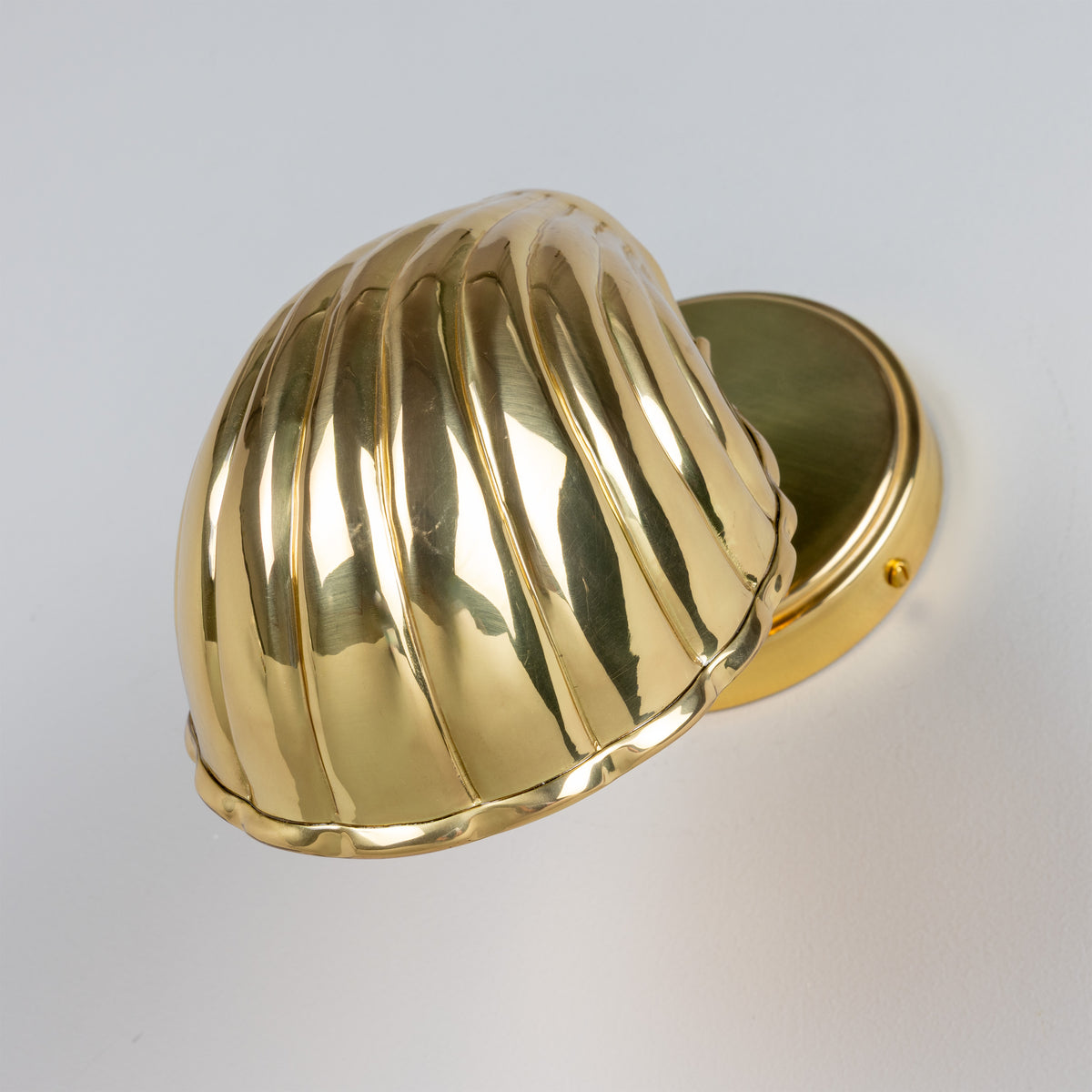 Shell Adjustable Brass Wall Light in Polished Brass