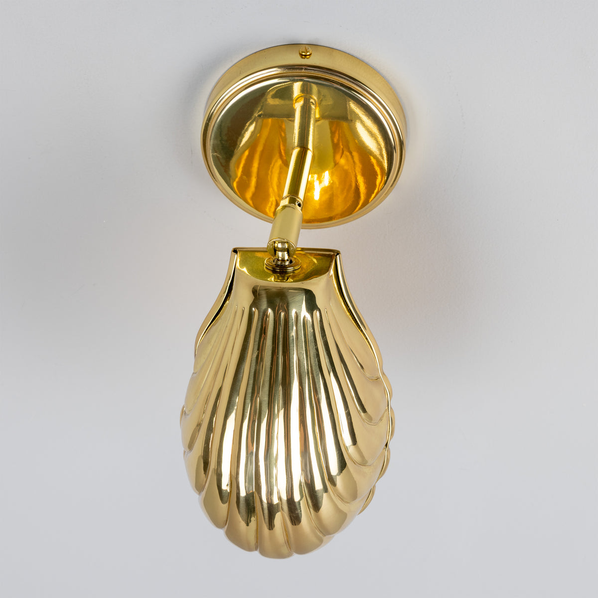 Shell Adjustable Brass Wall Light in Polished Brass