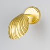 Shell Adjustable Brass Wall Light in Satin Brass