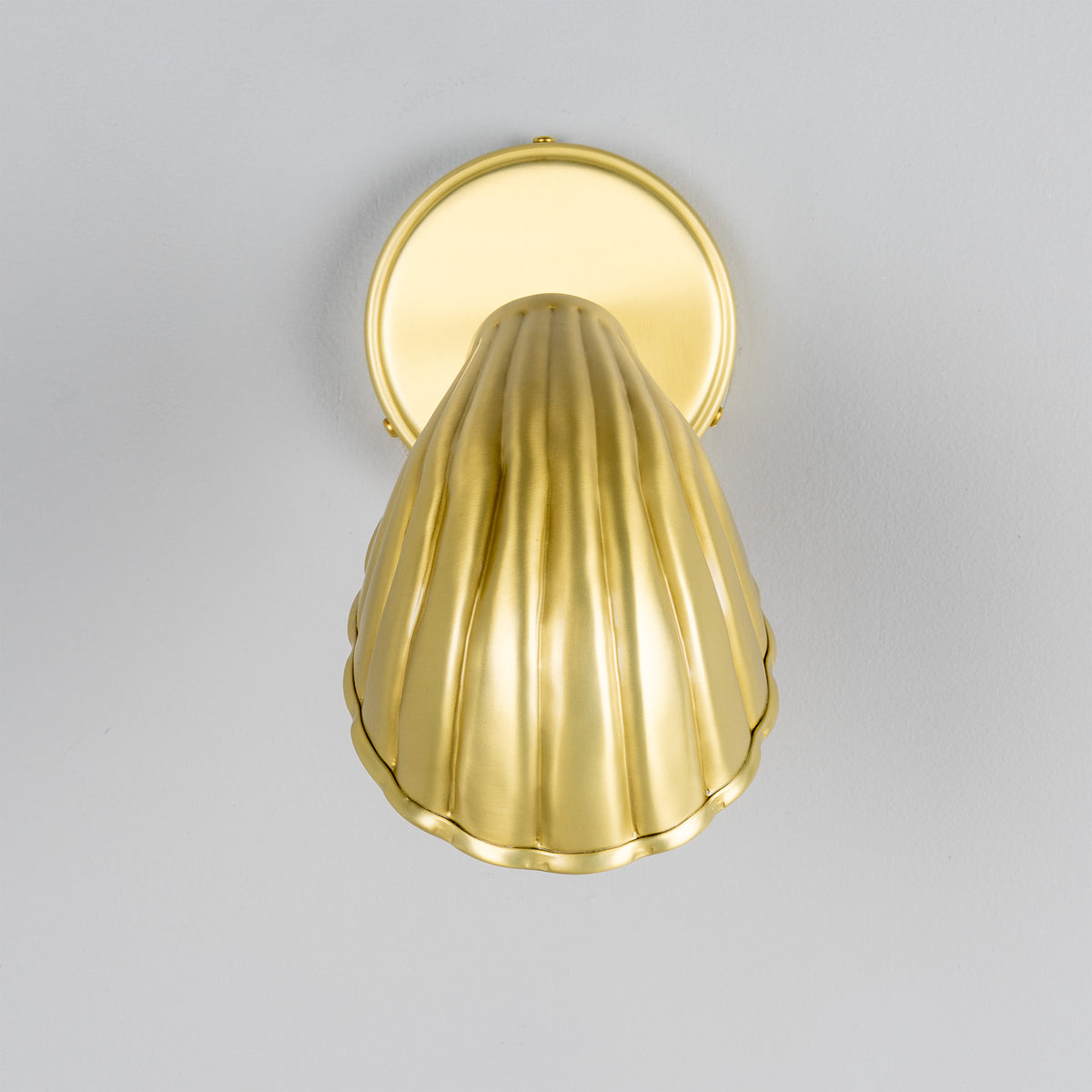 Shell Adjustable Brass Wall Light in Satin Brass