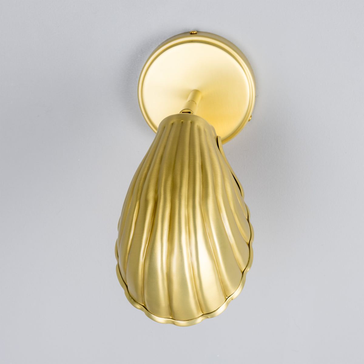 Shell Adjustable Brass Wall Light in Satin Brass