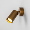Evanston Directional Brass Wall Spotlight in Antique Brass
