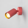 Evanston Directional Brass Wall Spotlight in Antique Pink