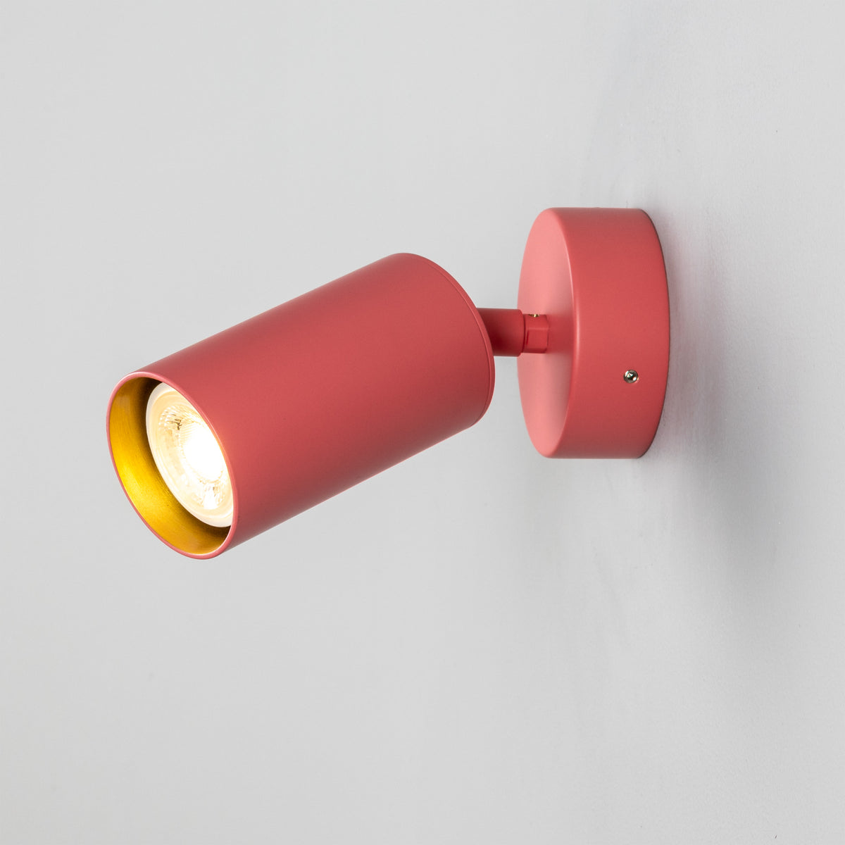 Evanston Directional Brass Wall Spotlight in Antique Pink