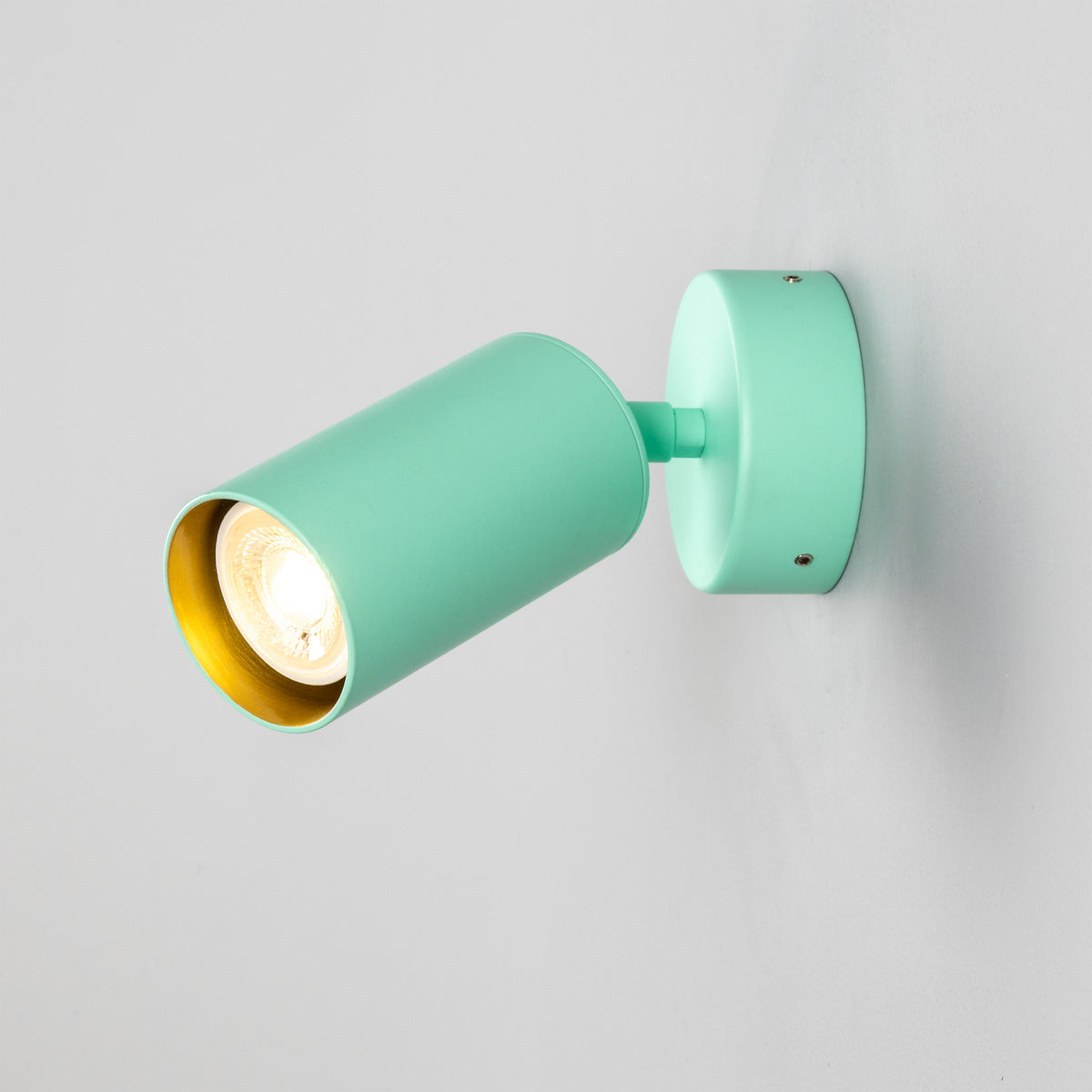 Evanston Directional Brass Wall Spotlight in Mint Turquoise