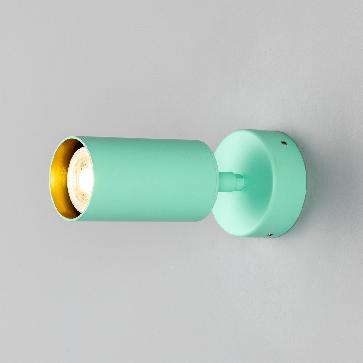 Evanston Directional Brass Wall Spotlight in Mint Turquoise