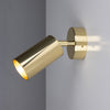 Evanston Directional Brass Wall Spotlight in Polished Brass