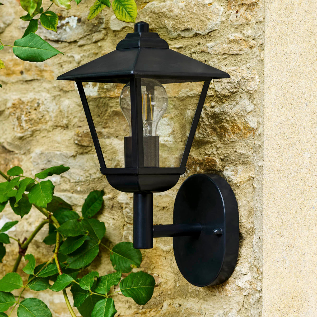 Newland Exterior Wall Light In Carbon