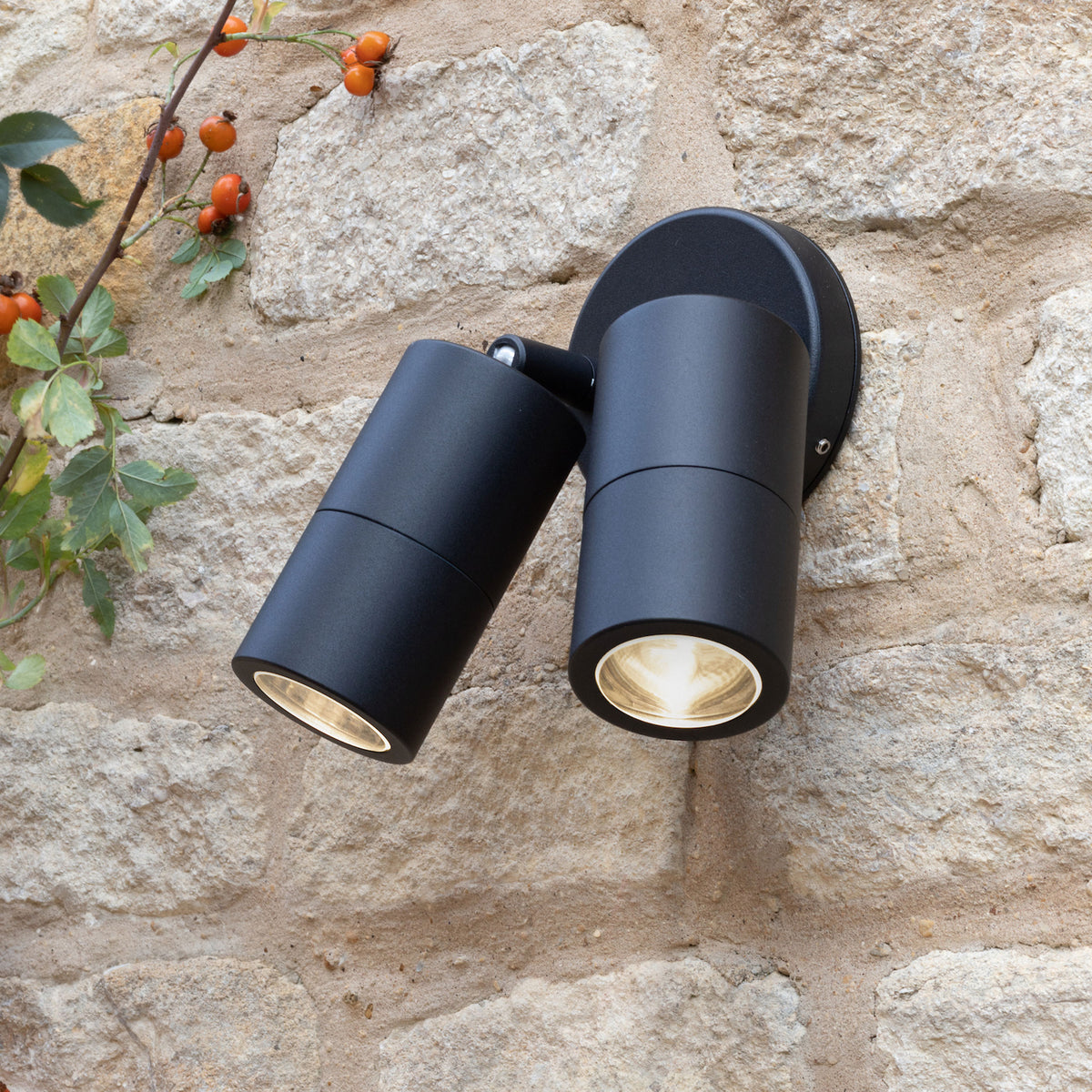 Two black outdoor spotlights illuminate a stone wall with a rosehip branch.