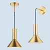Ragnar Single Drop Pendant or Wall Light in Natural Brass