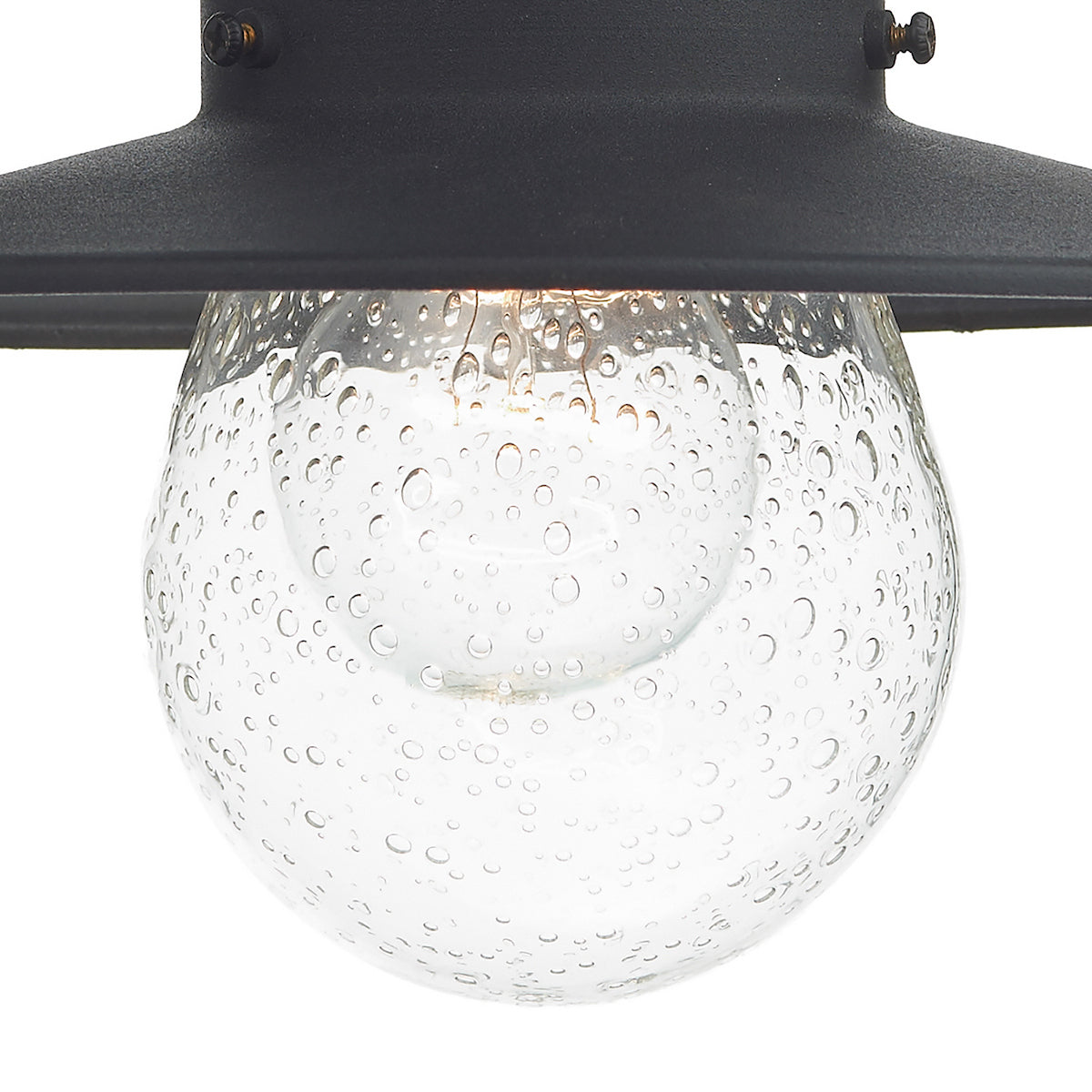 Close-up of a black outdoor light fixture with a clear, seeded glass globe.