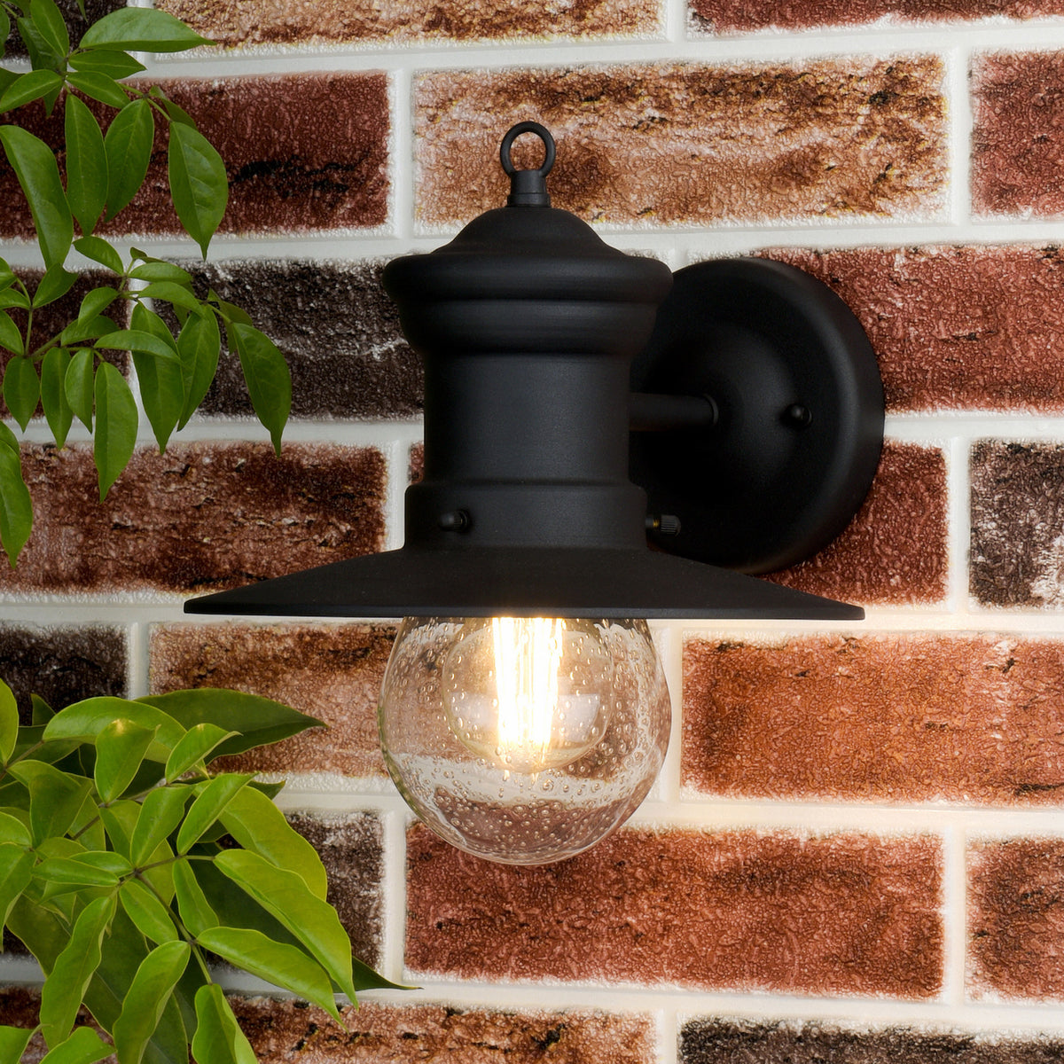 Black outdoor wall light with a clear, seeded glass globe on a brick wall with green leaves.