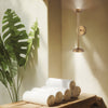 Arden Twin Arm LED Wall Sconce in Brushed Gold and Opal Glass