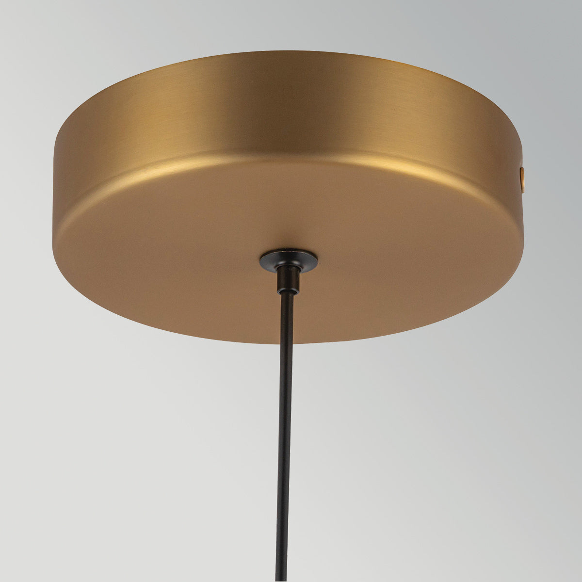 Arden Single Drop LED Pendant in Brushed Gold and Opal Glass