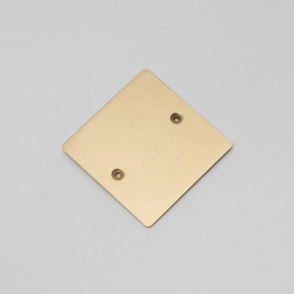 One Gang Blank Wall Plate in Brass
