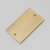 Two Gang Blank Wall Plate in Brass