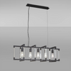 Canto 5 Light Linear Pendant in Graphite & Clear Acrylic