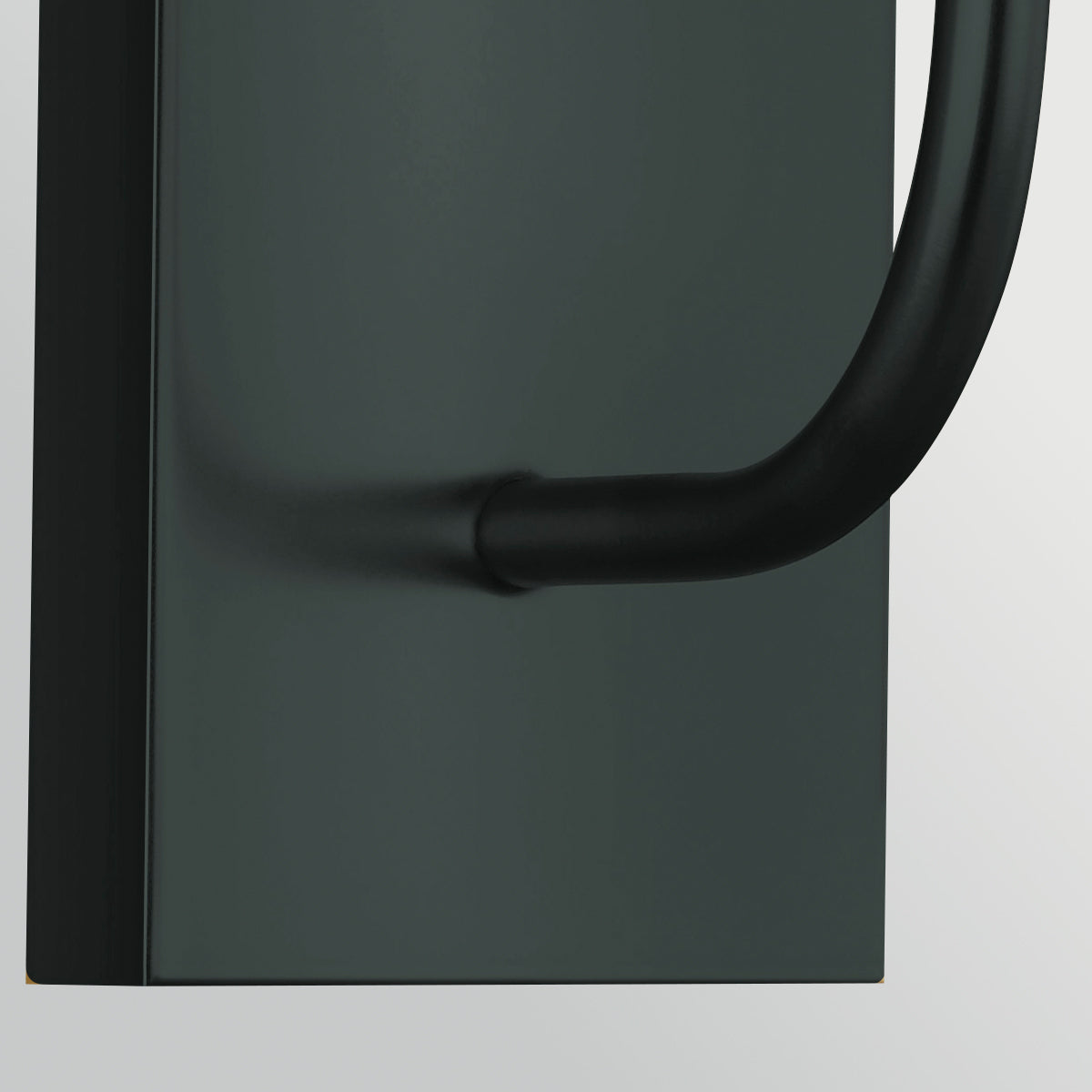 Brianna Single Wall Light in Black