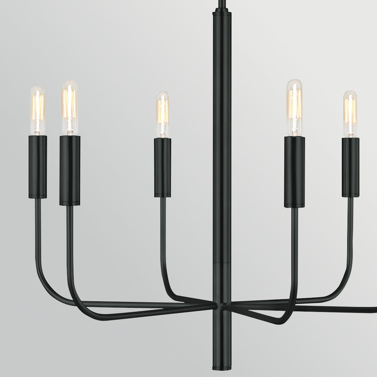 Brianna 6 Light Chandelier in Black
