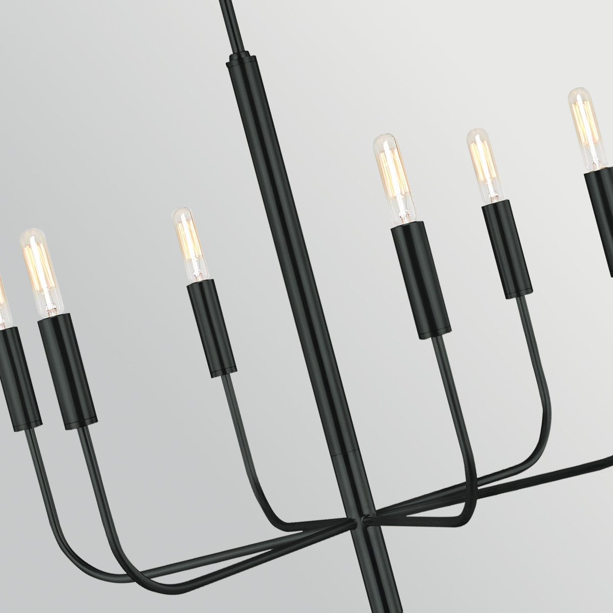 Brianna 6 Light Chandelier in Black