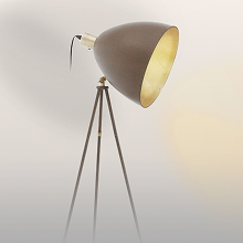 Floor Lamps