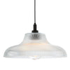 Aquarius IP65 40cm Pendant Light with Matt Black Detail
