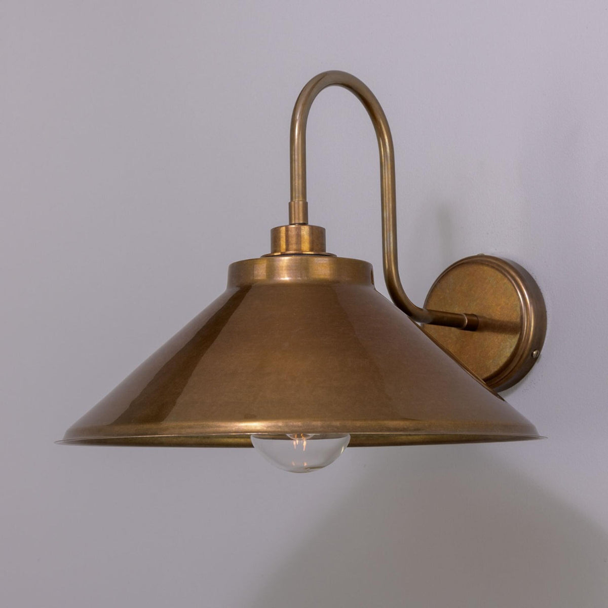 Nerissa IP65 Brass Swan Neck Bathroom Wall Light in Antique Brass and Clear Glass Shade