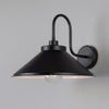 Nerissa IP65 Brass Swan Neck Bathroom Wall Light in Matte Black and Clear Glass Shade