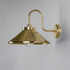 Nerissa IP65 Brass Swan Neck Bathroom Wall Light in Polished Brass and Clear Glass Shade