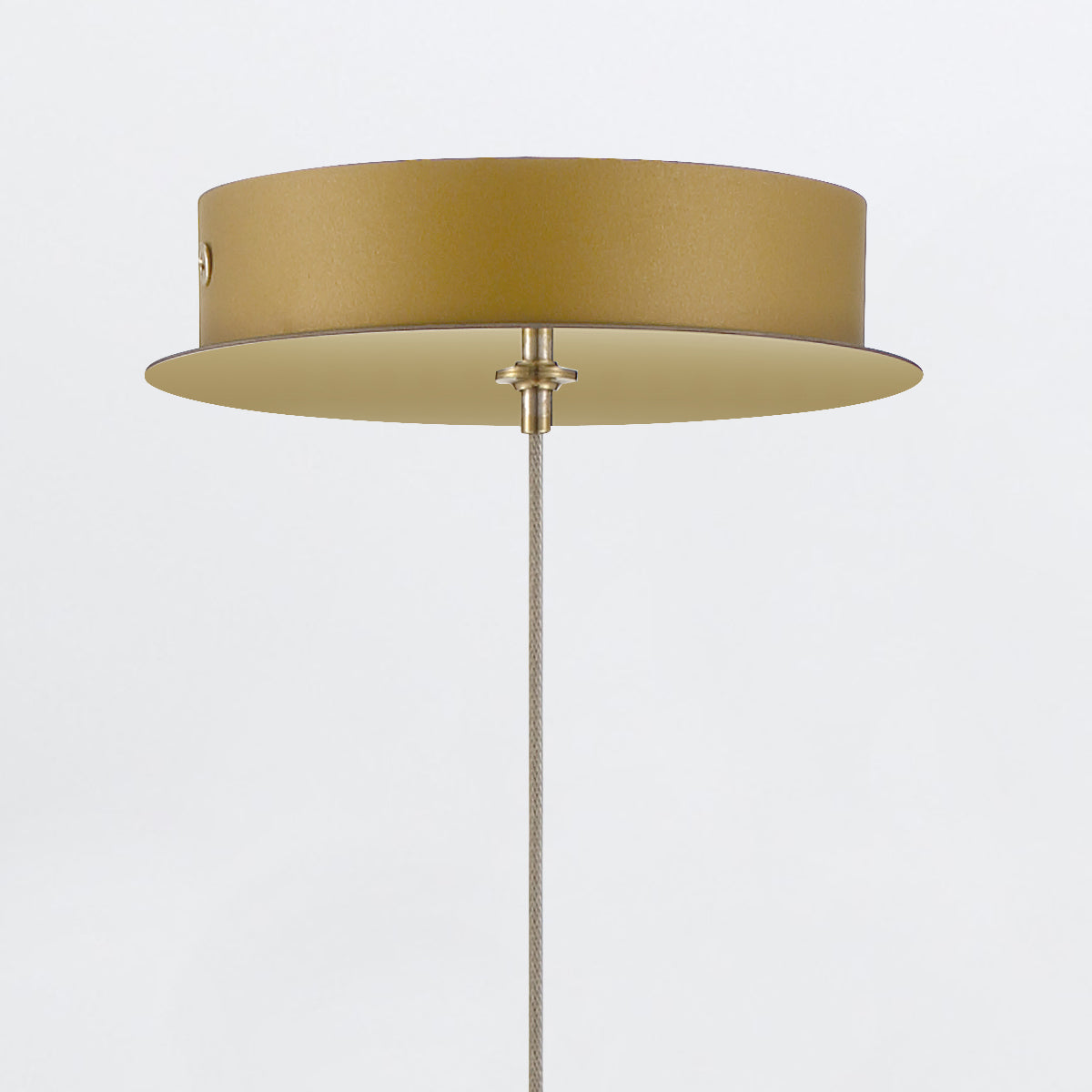Atomo Single Drop IP44 LED Pendant in Brushed Gold with Clear Glass Globe