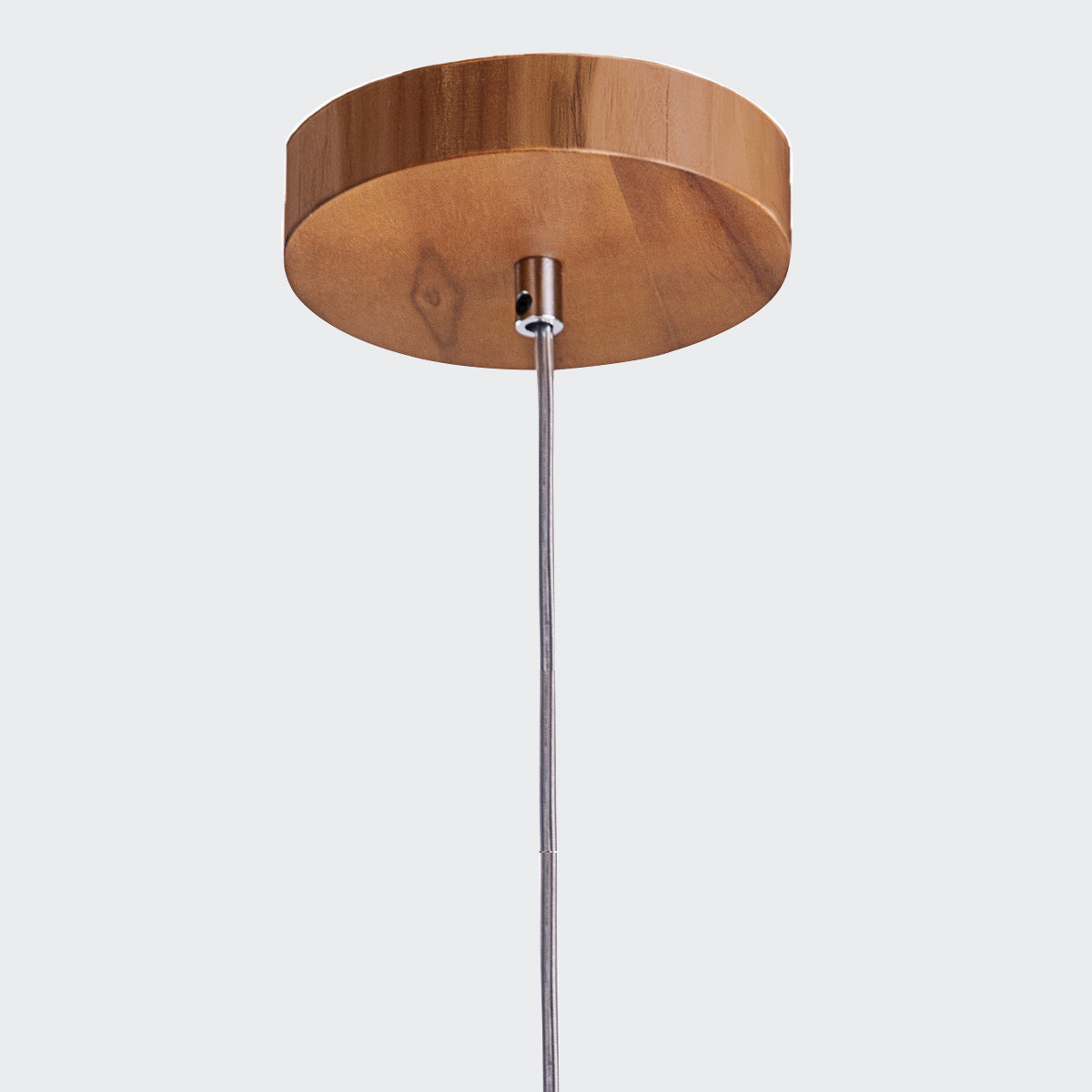 Physalis Natural Teak Wood Veneer Single Drop Pendant